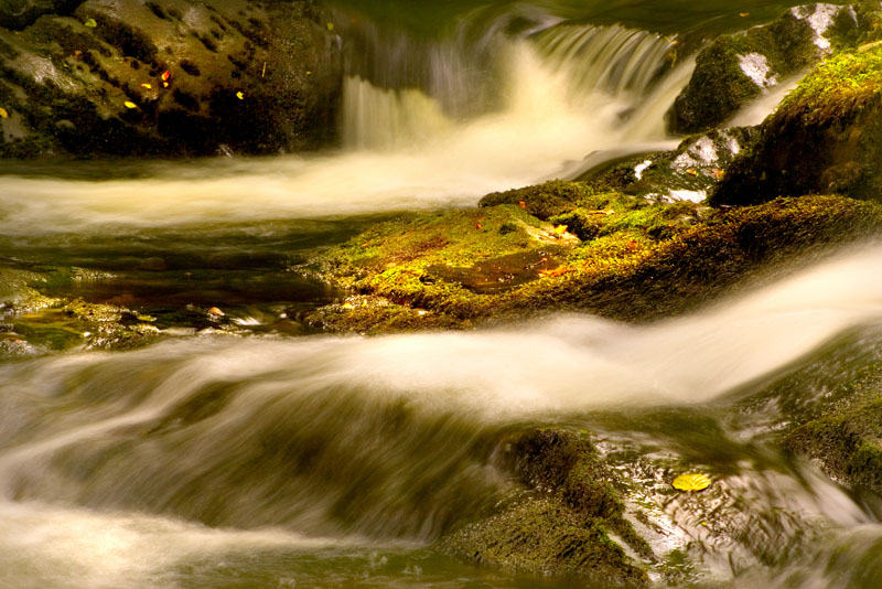 To save this picture as Windows Wallpaper - right click it - then select "Set as Background"